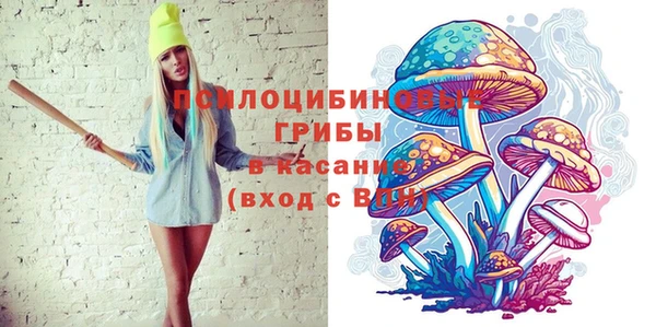 2c-b Армянск