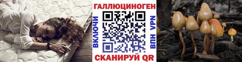 Купить  Печора  Галлюциногенные грибы Magic Shrooms 